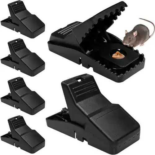 Premium Quality Mouse Traps Indoor Rat Trap